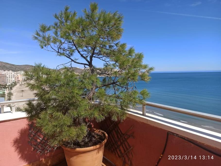 Espectacular Terraza Y Vistas En 1A Linea De Playa Apartment Cullera Bagian luar foto