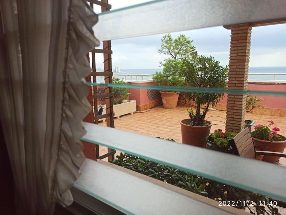 Espectacular Terraza Y Vistas En 1A Linea De Playa Apartment Cullera Bagian luar foto
